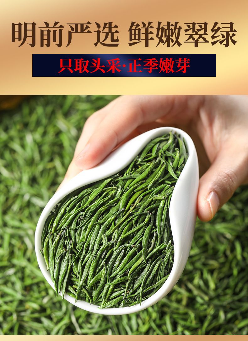 b54567d9-0dbf-4b21-9b86-56f84f47ab56