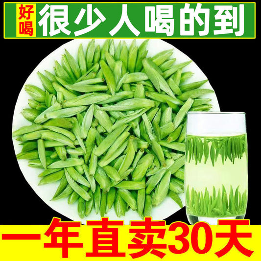 ed19a6b6-4be6-4103-96bb-9d22d9f327e5